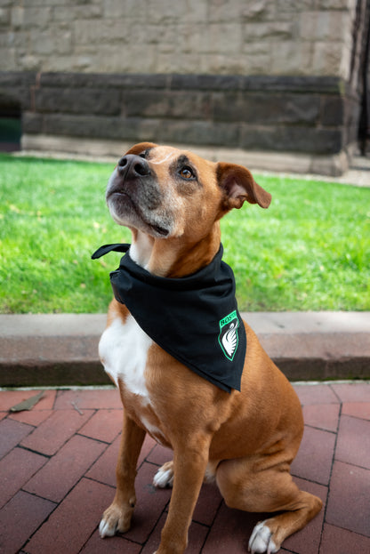 Boston Legacy FC Crest Dog Bandanas