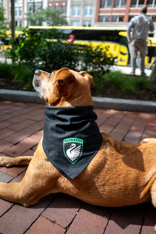 Boston Legacy FC Crest Dog Bandanas