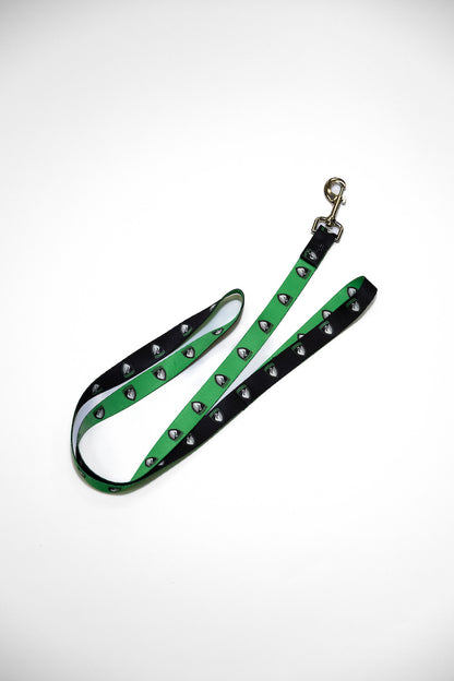 Boston Legacy FC Dog Leash
