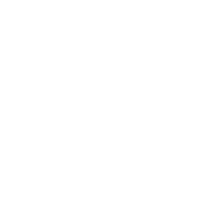 RIPTA Rhode Island Public Transit Authority logo